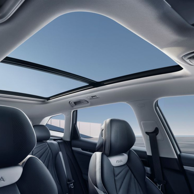 Панорамная крыша с люком